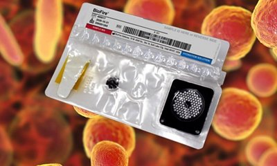 Automated 1-Hour Mycoplasma Testing in Bioproduction
